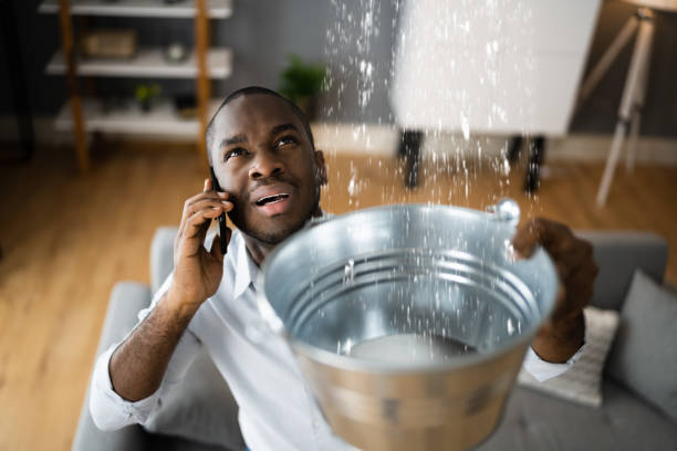 Best Fire Damage Restoration  in Stevenson, AL