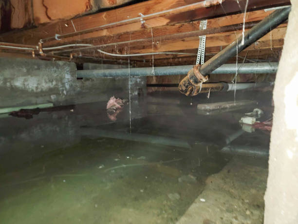 Best Sewage cleanup and water damage restoration  in Stevenson, AL