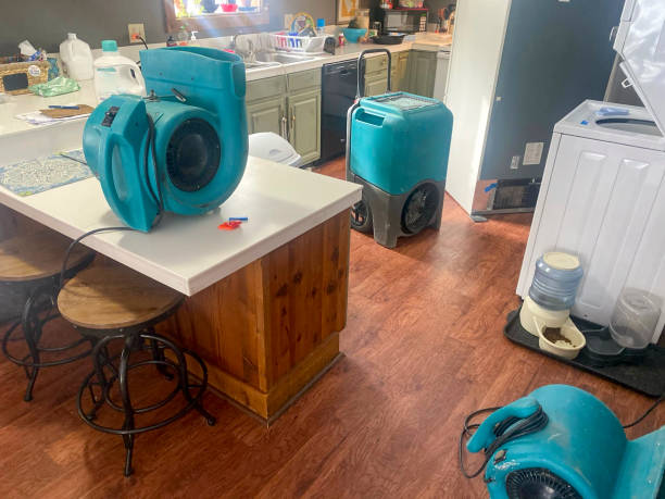 Best Water damage cleanup near me  in Stevenson, AL