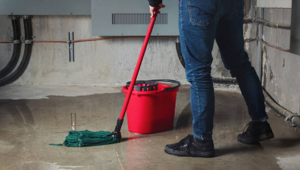  Stevenson, AL Water damage restoration Pros
