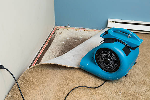 Best 24/7 water damage repair  in Stevenson, AL